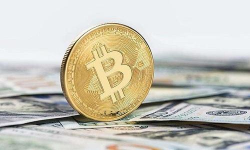 多米尼加对比特币的政策(多米尼加比索汇率对人民币)