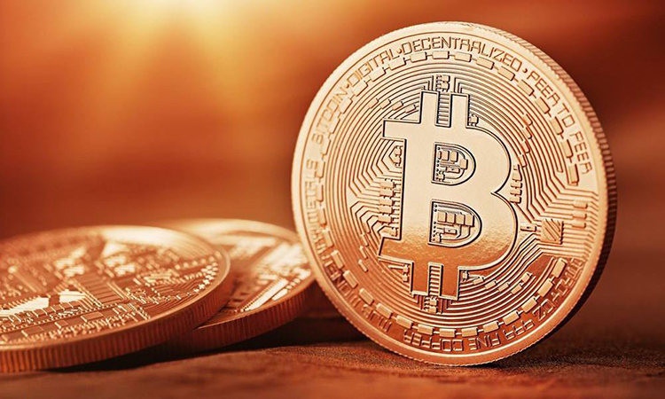圣诞节比特币会降价吗吗(今年圣诞节比特币会涨价吗)