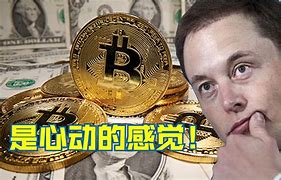 包含同兴会齐晓明张波比特币的词条