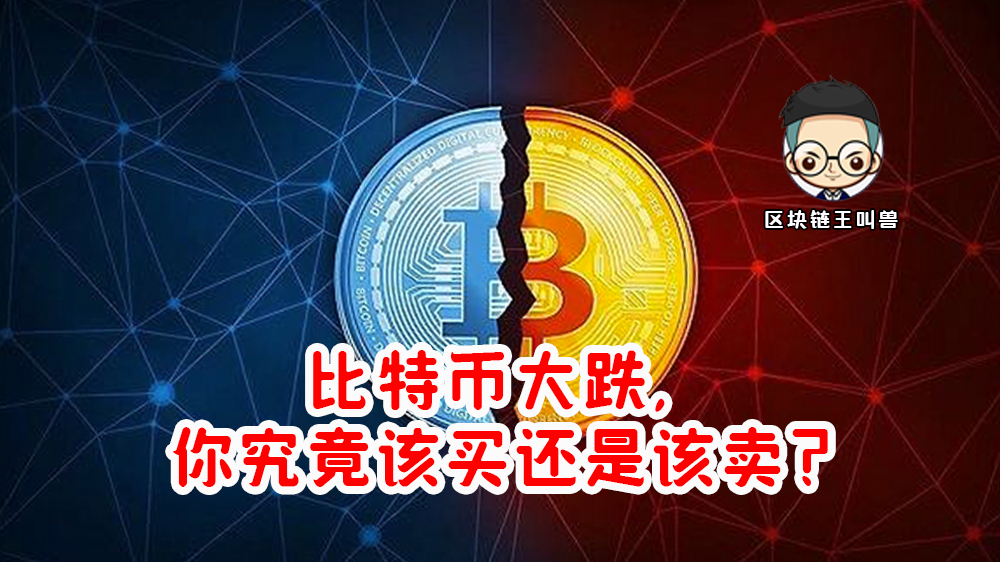 包含一千块买比特币犯法吗知乎的词条