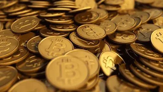 仓库里都是比特币吗为什么(仓库里都是比特币吗为什么呢)