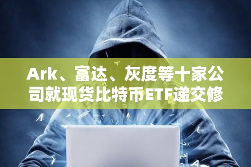 比特币大陆是上市公司吗(比特币在中国上市了吗能上市吗)