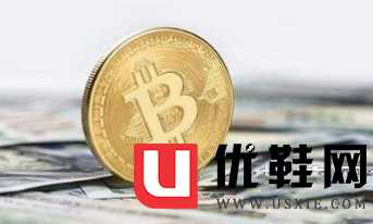 比特币的持有形式是什么(比特币的持有形式是什么样的)