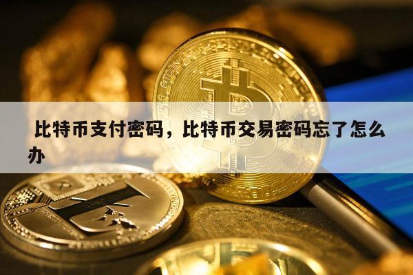 常用比特币(比特币各种币)