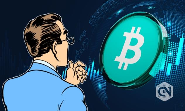 比特币最低价在哪一年出现(比特币最低价在哪一年出现的)