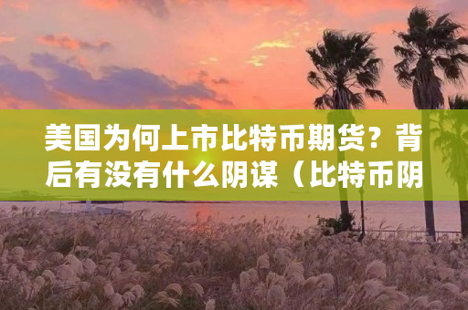 美国第一个比特币期货品种(全球首个比特币期货合约推出的时间)