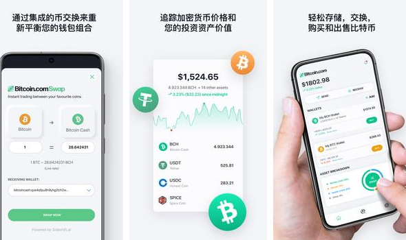 比特币钱包是什么软件做的(比特币钱包属于哪种类型)